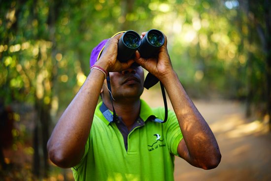 Expert wildlife guide in Sri Lanka
